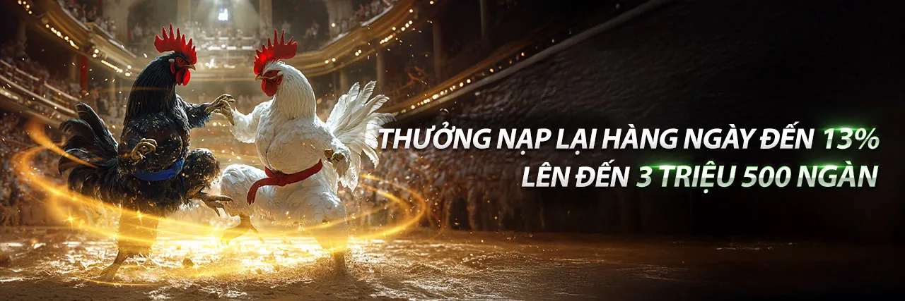Giới thiệu 9tr88 - Nền tảng cá cược trực tuyến hàng đầu Việt Nam